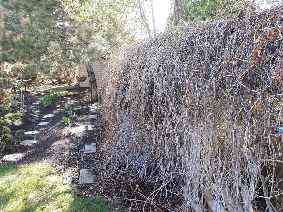 fence-before