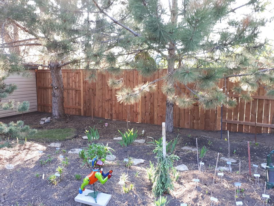 fence_after3