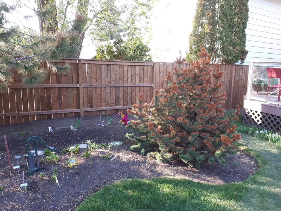 fence_after4