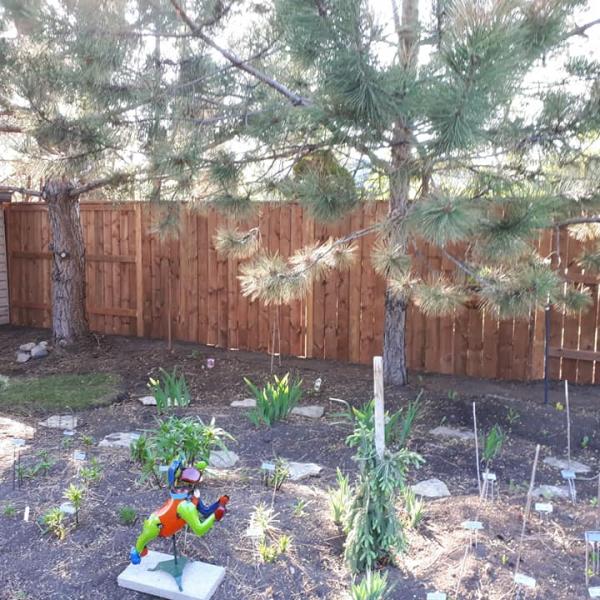 fence_after3