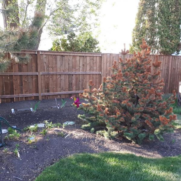 fence_after4