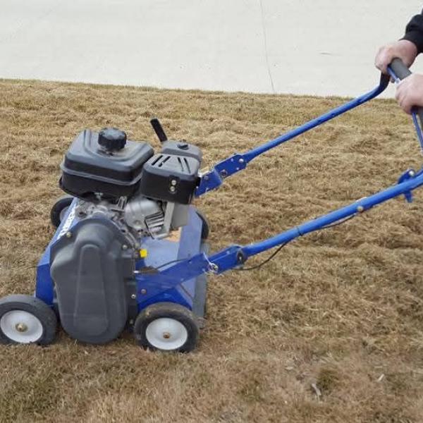 Spring_yard_cleanups