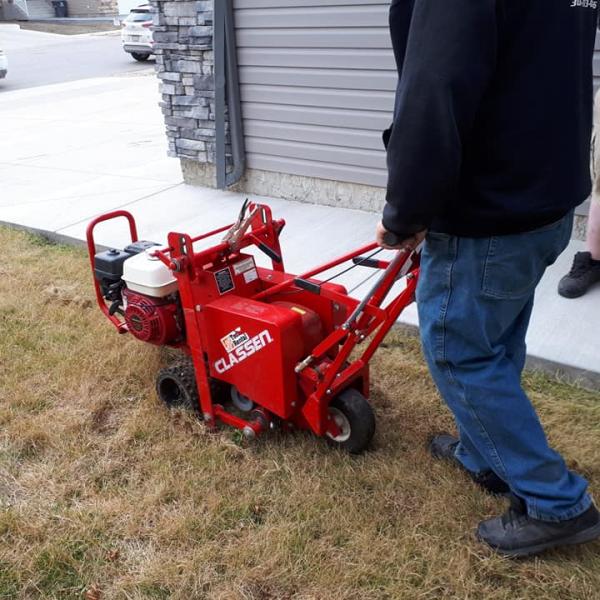 yard_cleanup
