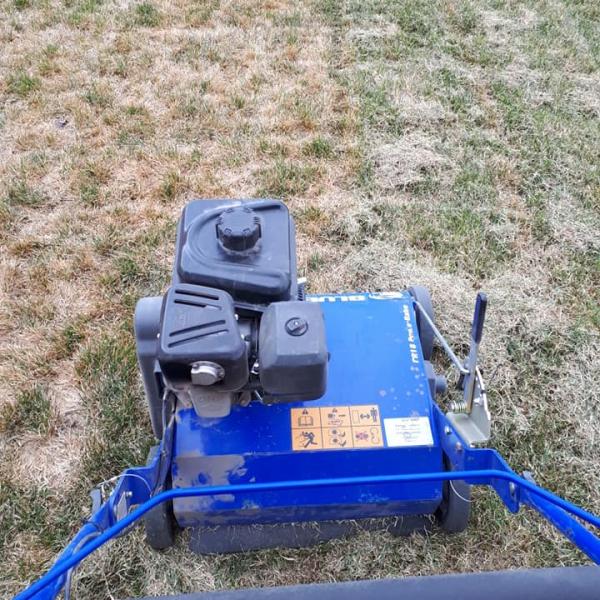 yard_cleanup2