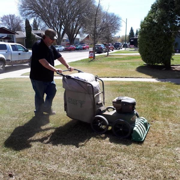 yard_cleanup3